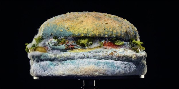 burger-king-moldy-whopper-2020