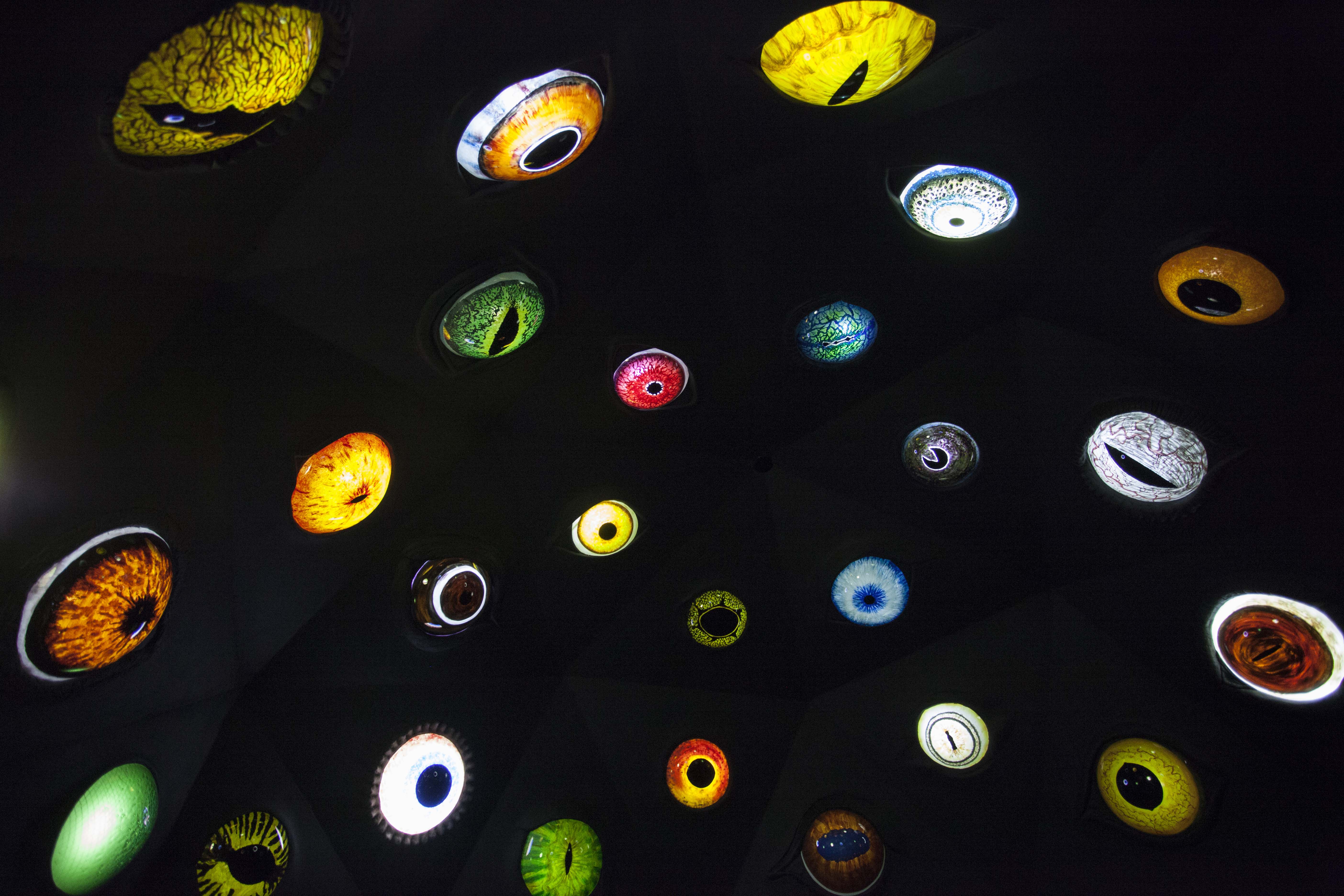 Meow Wolf House of Eternal Return