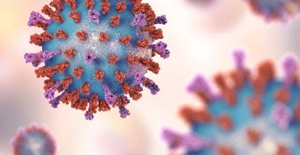 Image 3-18-20 at 10.49 AM